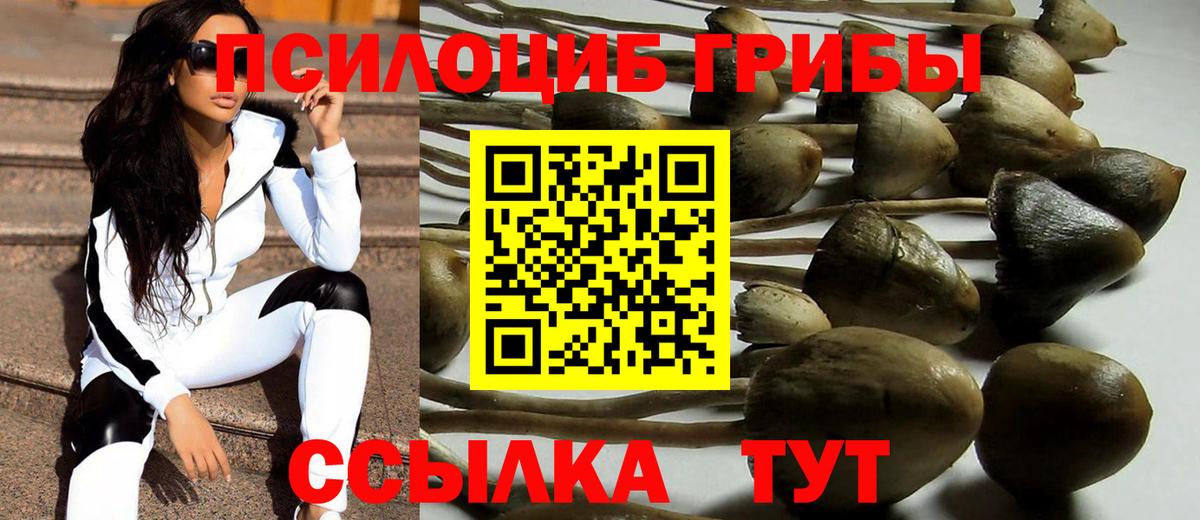 Юрга  Псилоцибиновые грибы Psilocybe  Вход с VPN  Галлюциногенные грибы мухоморы 