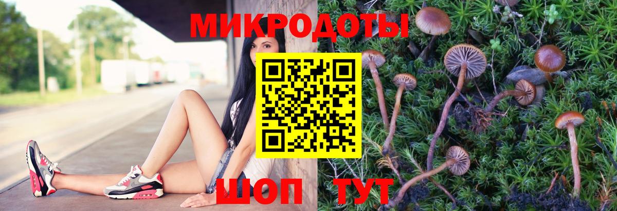 Псилоцибиновые грибы MAGIC MUSHROOMS Юрга